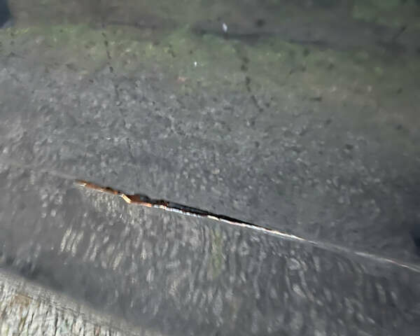 Черный Шкода Фабия, объемом двигателя 1.42 л и пробегом 243 тыс. км за 5000 $, фото 15 на Automoto.ua