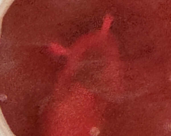 Красный Шкода Фабия, объемом двигателя 1.39 л и пробегом 232 тыс. км за 4500 $, фото 72 на Automoto.ua