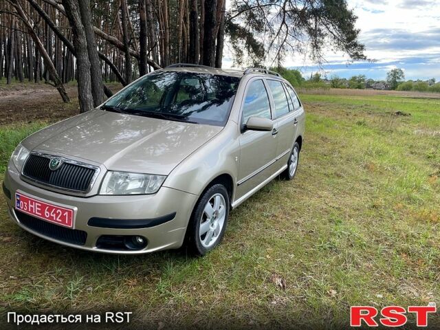 Шкода Фабия, объемом двигателя 1.4 л и пробегом 240 тыс. км за 4500 $, фото 1 на Automoto.ua