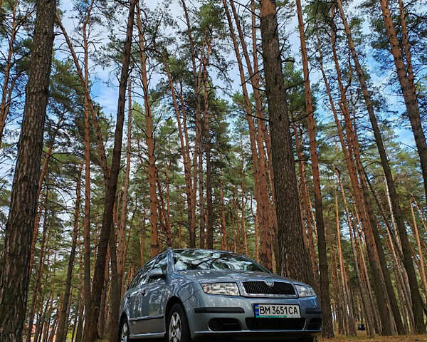 Шкода Фабія, об'ємом двигуна 1.39 л та пробігом 242 тис. км за 5000 $, фото 1 на Automoto.ua