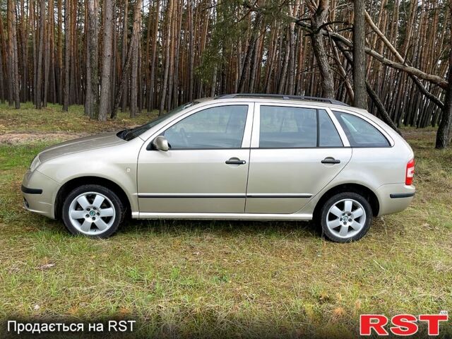 Шкода Фабия, объемом двигателя 1.4 л и пробегом 240 тыс. км за 4500 $, фото 2 на Automoto.ua