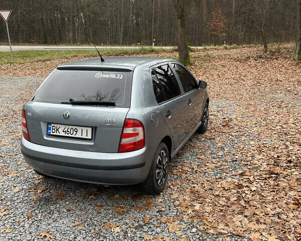 Серый Шкода Фабия, объемом двигателя 1.2 л и пробегом 91 тыс. км за 4300 $, фото 3 на Automoto.ua