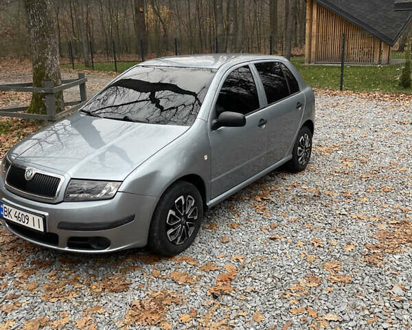 Серый Шкода Фабия, объемом двигателя 1.2 л и пробегом 91 тыс. км за 4300 $, фото 1 на Automoto.ua