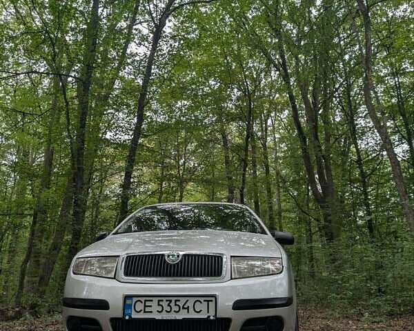 Сірий Шкода Фабія, об'ємом двигуна 1.2 л та пробігом 170 тис. км за 3800 $, фото 88 на Automoto.ua