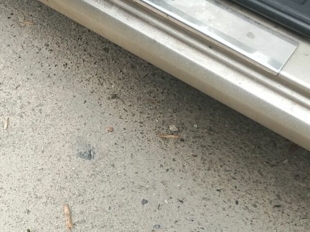 Сірий Шкода Фабія, об'ємом двигуна 1.9 л та пробігом 440 тис. км за 3937 $, фото 6 на Automoto.ua