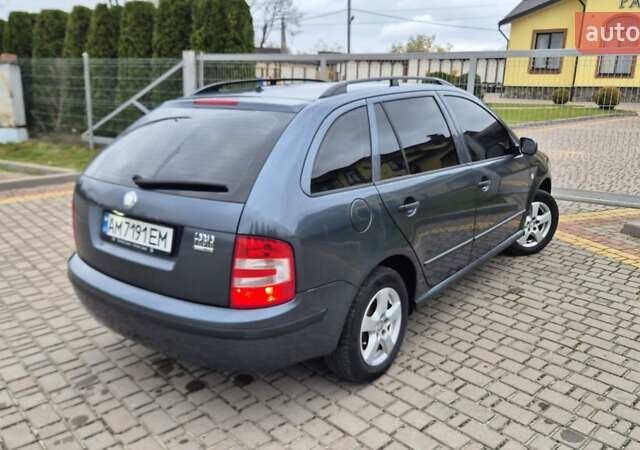 Серый Шкода Фабия, объемом двигателя 1.39 л и пробегом 299 тыс. км за 2999 $, фото 60 на Automoto.ua