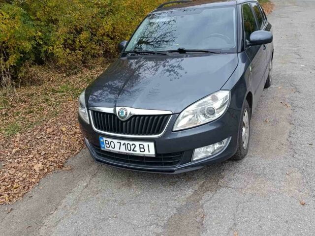 Сірий Шкода Фабія, об'ємом двигуна 1.2 л та пробігом 290 тис. км за 5500 $, фото 6 на Automoto.ua