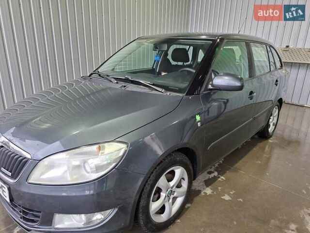 Серый Шкода Фабия, объемом двигателя 1.2 л и пробегом 244 тыс. км за 4750 $, фото 4 на Automoto.ua