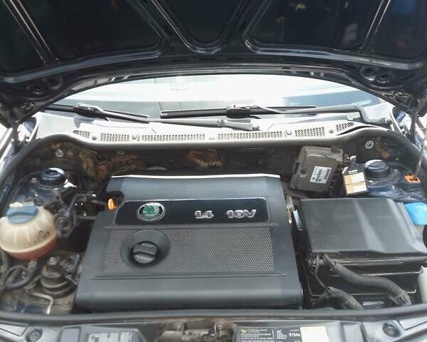 Синий Шкода Фабия, объемом двигателя 1.39 л и пробегом 163 тыс. км за 3500 $, фото 20 на Automoto.ua