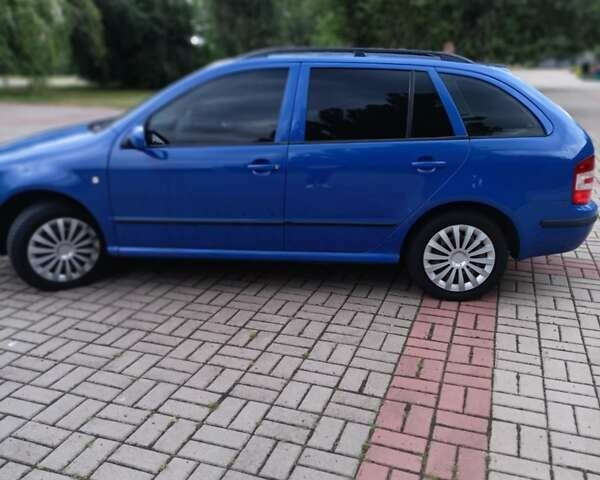 Синій Шкода Фабія, об'ємом двигуна 1.39 л та пробігом 250 тис. км за 4600 $, фото 1 на Automoto.ua