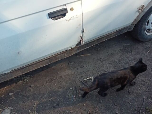 Білий Шкода Фаворит, об'ємом двигуна 1.3 л та пробігом 2 тис. км за 381 $, фото 2 на Automoto.ua