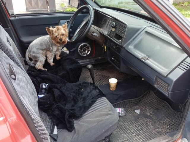 Красный Шкода Фаворит, объемом двигателя 1.3 л и пробегом 200 тыс. км за 1200 $, фото 4 на Automoto.ua