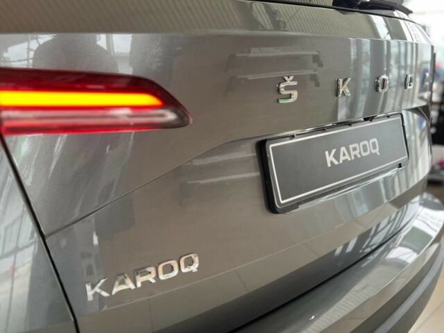 купить новое авто Шкода Karoq 2023 года от официального дилера Євромоторс Skoda Шкода фото
