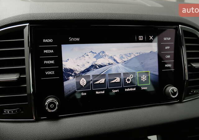 Сірий Шкода Karoq, об'ємом двигуна 0 л та пробігом 148 тис. км за 29990 $, фото 49 на Automoto.ua