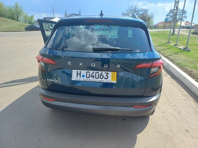 Синий Шкода Karoq, объемом двигателя 1.6 л и пробегом 170 тыс. км за 19500 $, фото 2 на Automoto.ua