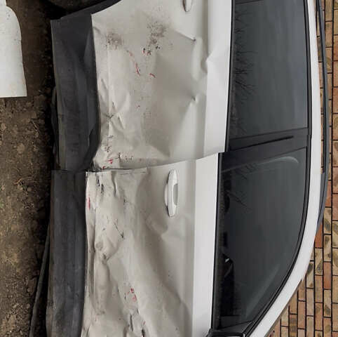 Белый Шкода Kodiaq, объемом двигателя 1.98 л и пробегом 230 тыс. км за 16000 $, фото 2 на Automoto.ua