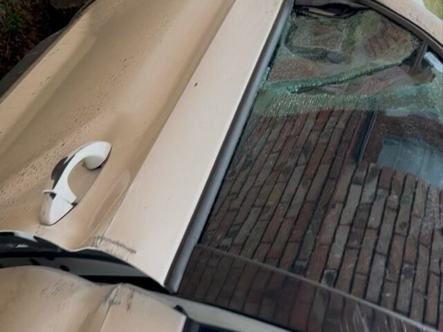 Белый Шкода Kodiaq, объемом двигателя 2 л и пробегом 230 тыс. км за 16000 $, фото 4 на Automoto.ua