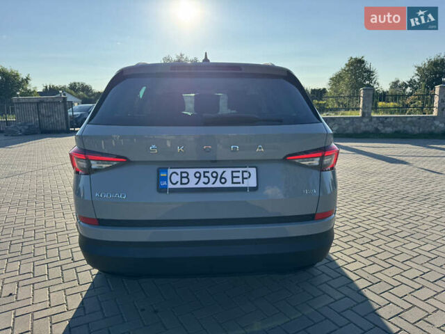 Серый Шкода Kodiaq, объемом двигателя 2 л и пробегом 190 тыс. км за 32000 $, фото 6 на Automoto.ua