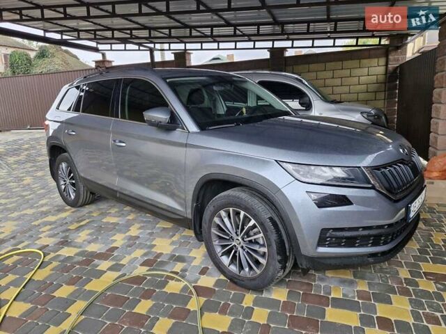 Шкода Kodiaq 2020 в Кривом Роге на Automoto.ua Серый Шкода Kodiaq, объемом двигателя 0 л и пробегом 66 тыс. км за 35000 $, фото 34 на Automoto.ua