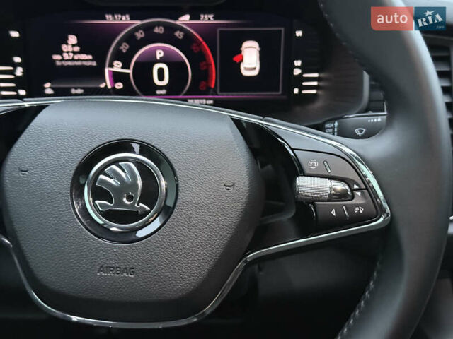 Синий Шкода Kodiaq, объемом двигателя 1.97 л и пробегом 263 тыс. км за 25300 $, фото 19 на Automoto.ua