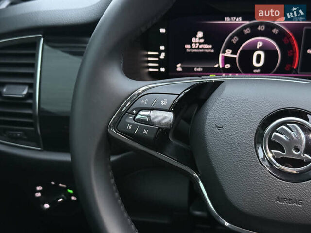 Синий Шкода Kodiaq, объемом двигателя 1.97 л и пробегом 263 тыс. км за 25300 $, фото 17 на Automoto.ua