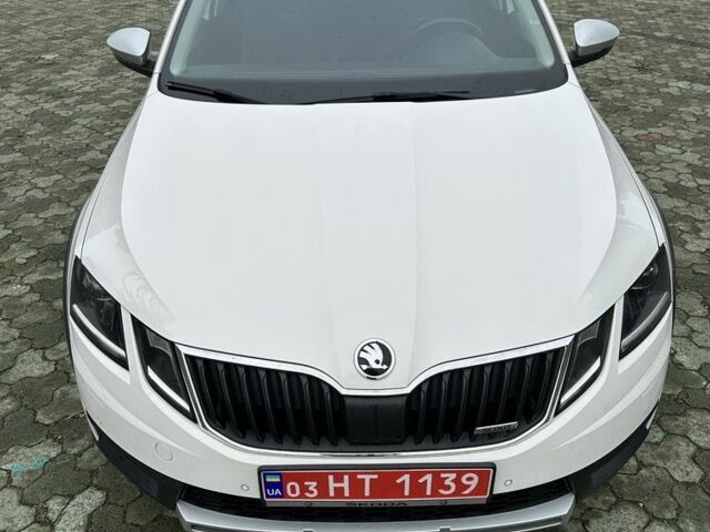 Белый Шкода Октавия Скаут, объемом двигателя 2 л и пробегом 199 тыс. км за 17000 $, фото 2 на Automoto.ua