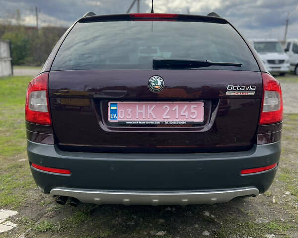 Шкода Октавия Скаут 2009 в Рожище на Automoto.ua Красный Шкода Октавия Скаут, объемом двигателя 1.8 л и пробегом 177 тыс. км за 8799 $, фото 3 на Automoto.ua