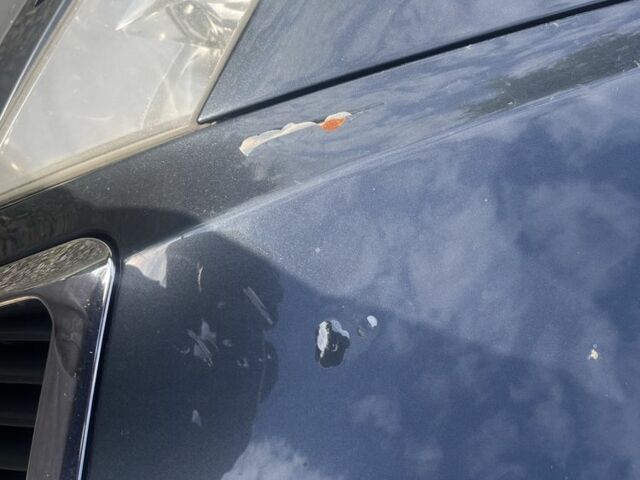 Серый Шкода Октавия Скаут, объемом двигателя 2 л и пробегом 300 тыс. км за 5200 $, фото 1 на Automoto.ua