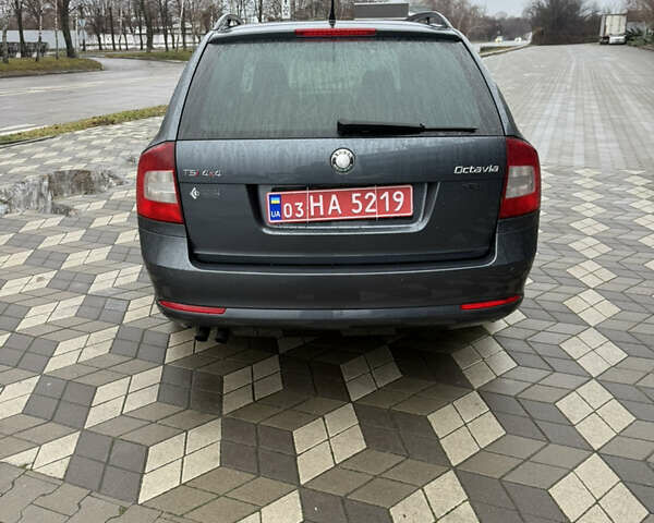 Сірий Шкода Octavia Scout, об'ємом двигуна 1.8 л та пробігом 219 тис. км за 7750 $, фото 44 на Automoto.ua
