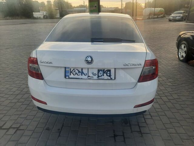 Белый Шкода Октавия, объемом двигателя 1.6 л и пробегом 224 тыс. км за 9400 $, фото 1 на Automoto.ua