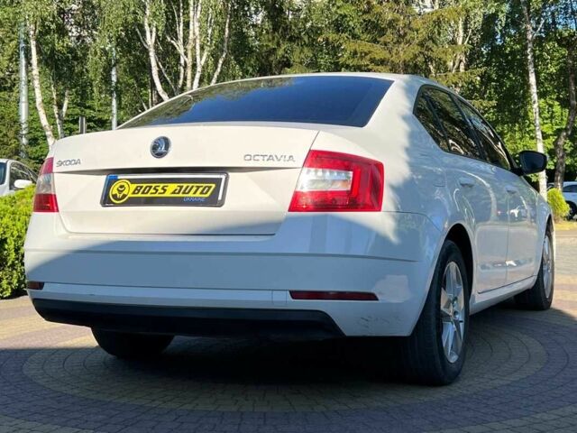 Белый Шкода Октавия, объемом двигателя 1.6 л и пробегом 280 тыс. км за 12600 $, фото 6 на Automoto.ua
