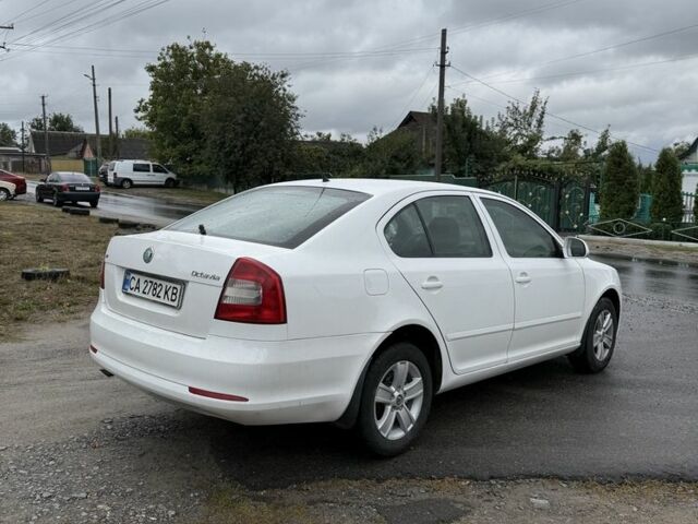 Білий Шкода Октавія, об'ємом двигуна 1.6 л та пробігом 230 тис. км за 6500 $, фото 3 на Automoto.ua
