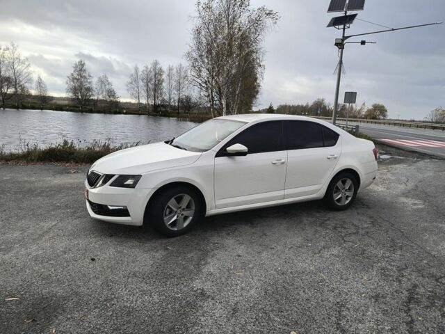 Білий Шкода Октавія, об'ємом двигуна 1.6 л та пробігом 228 тис. км за 13100 $, фото 5 на Automoto.ua