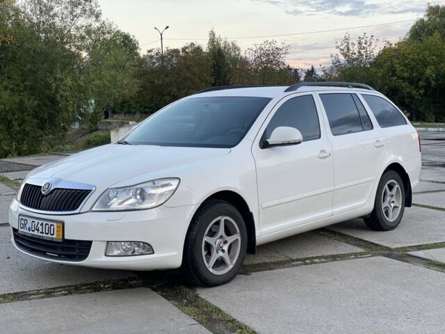 Шкода Октавія 2010 у Старокостянтинів на Automoto.ua Білий Шкода Октавія, об'ємом двигуна 1.6 л та пробігом 281 тис. км за 8600 $, фото 2 на Automoto.ua