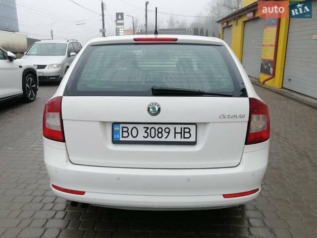 Белый Шкода Октавия, объемом двигателя 1.39 л и пробегом 205 тыс. км за 6899 $, фото 12 на Automoto.ua