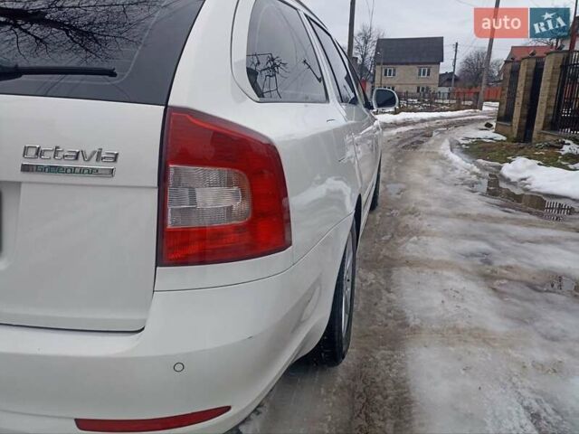 Білий Шкода Октавія, об'ємом двигуна 1.6 л та пробігом 263 тис. км за 6850 $, фото 16 на Automoto.ua