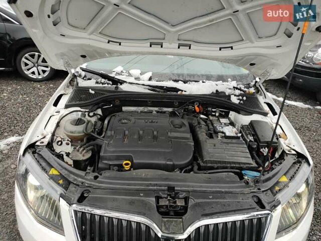 Белый Шкода Октавия, объемом двигателя 1.97 л и пробегом 241 тыс. км за 10999 $, фото 15 на Automoto.ua