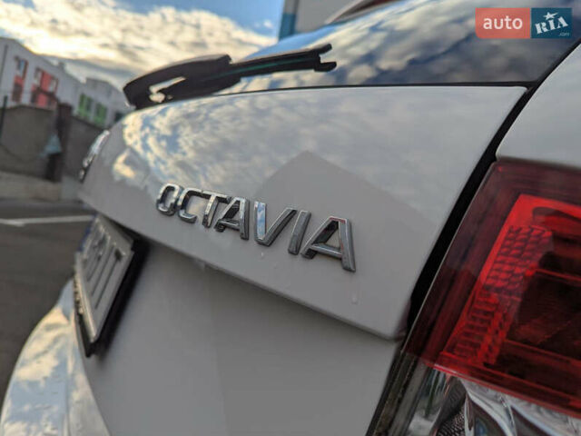 Белый Шкода Октавия, объемом двигателя 1.6 л и пробегом 338 тыс. км за 10399 $, фото 69 на Automoto.ua