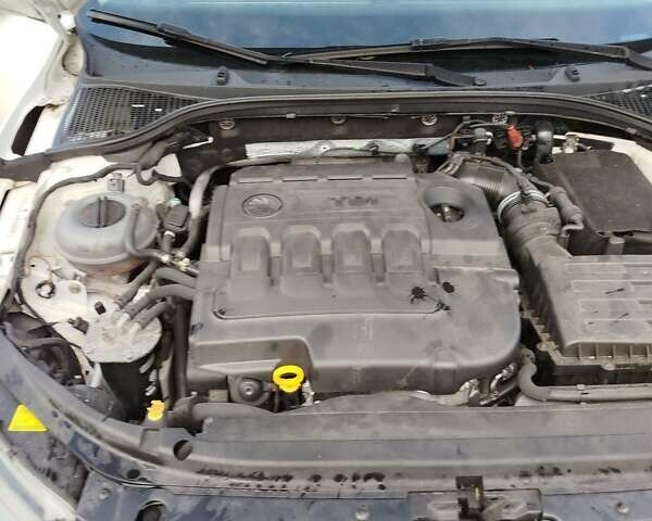 Шкода Октавия 2014 в Казатине на Automoto.ua Белый Шкода Октавия, объемом двигателя 1.97 л и пробегом 199 тыс. км за 11500 $, фото 28 на Automoto.ua