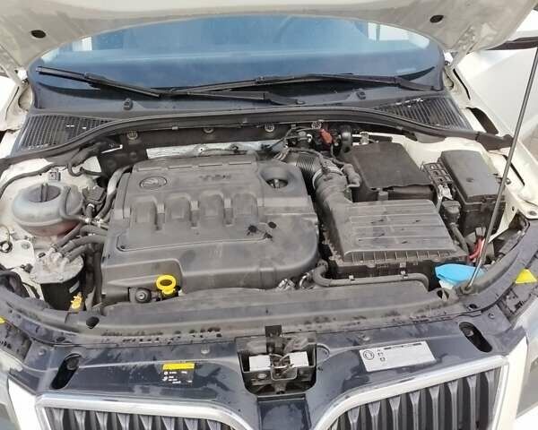 Шкода Октавия 2014 в Казатине на Automoto.ua Белый Шкода Октавия, объемом двигателя 1.97 л и пробегом 199 тыс. км за 11500 $, фото 21 на Automoto.ua