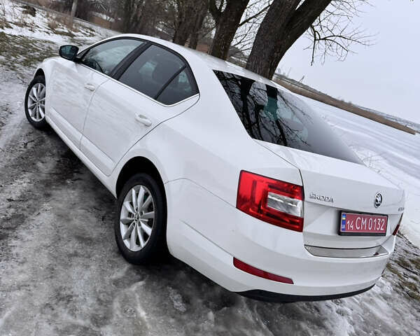 Белый Шкода Октавия, объемом двигателя 0 л и пробегом 238 тыс. км за 9950 $, фото 17 на Automoto.ua