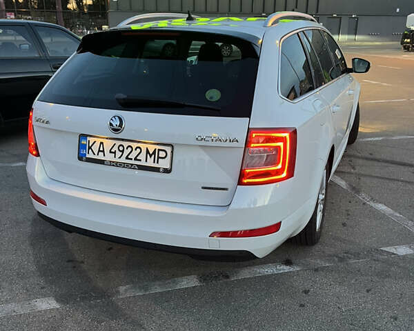 Белый Шкода Октавия, объемом двигателя 1.6 л и пробегом 243 тыс. км за 11000 $, фото 7 на Automoto.ua