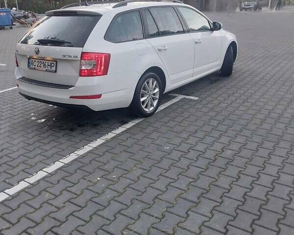 Белый Шкода Октавия, объемом двигателя 1.6 л и пробегом 303 тыс. км за 11400 $, фото 11 на Automoto.ua