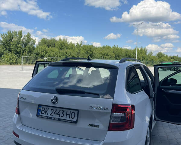Білий Шкода Октавія, об'ємом двигуна 1.6 л та пробігом 257 тис. км за 10600 $, фото 37 на Automoto.ua