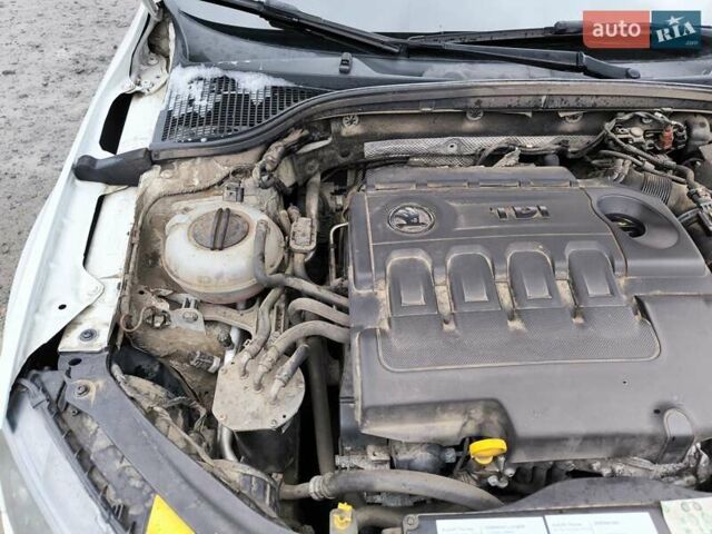 Білий Шкода Октавія, об'ємом двигуна 1.6 л та пробігом 280 тис. км за 11800 $, фото 50 на Automoto.ua