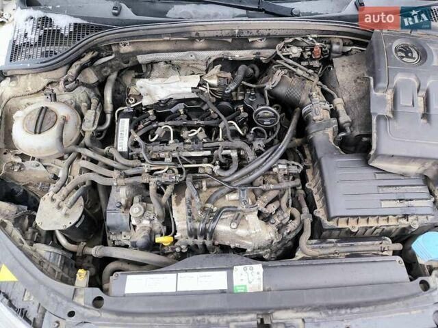 Білий Шкода Октавія, об'ємом двигуна 1.6 л та пробігом 280 тис. км за 11800 $, фото 55 на Automoto.ua