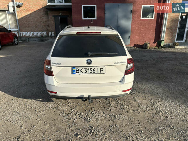 Белый Шкода Октавия, объемом двигателя 1.6 л и пробегом 200 тыс. км за 13700 $, фото 38 на Automoto.ua