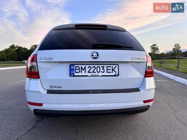 Шкода Октавия 2018 в Киеве на Automoto.ua Белый Шкода Октавия, объемом двигателя 1.6 л и пробегом 206 тыс. км за 14600 $, фото 9 на Automoto.ua