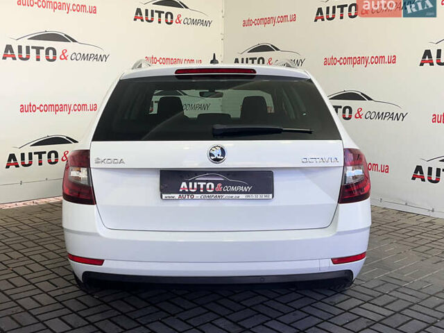 Белый Шкода Октавия, объемом двигателя 1.6 л и пробегом 209 тыс. км за 15950 $, фото 3 на Automoto.ua