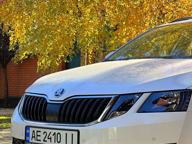 Белый Шкода Октавия, объемом двигателя 2 л и пробегом 245 тыс. км за 15000 $, фото 1 на Automoto.ua